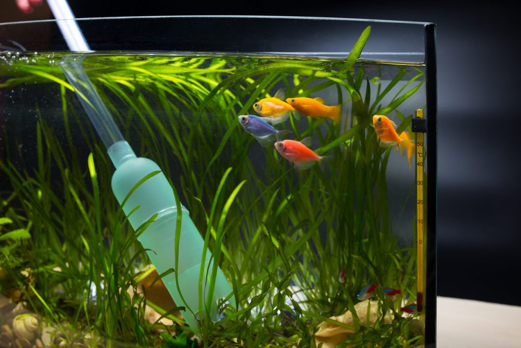 équipements entretien aquarium eau de mer