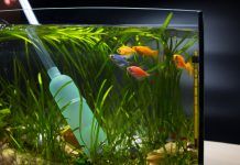 équipements entretien aquarium eau de mer