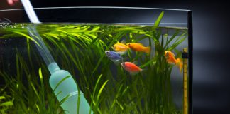 équipements entretien aquarium eau de mer