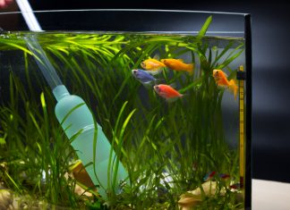 équipements entretien aquarium eau de mer